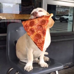 Pizzadog