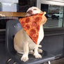 Pizzadog